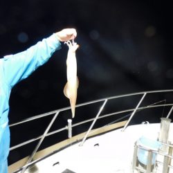 ジギング船 BLUEWATER 釣果