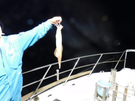 ジギング船 BLUEWATER 釣果