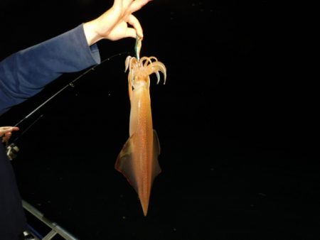 ジギング船 BLUEWATER 釣果