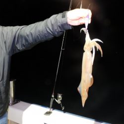 ジギング船 BLUEWATER 釣果