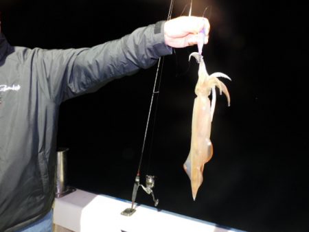 ジギング船 BLUEWATER 釣果