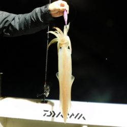 ジギング船 BLUEWATER 釣果