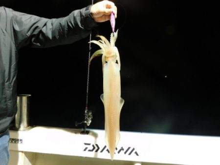 ジギング船 BLUEWATER 釣果