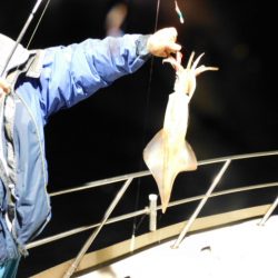 ジギング船 BLUEWATER 釣果