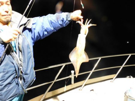 ジギング船 BLUEWATER 釣果