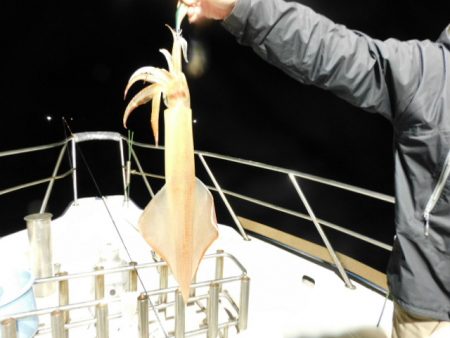 ジギング船 BLUEWATER 釣果