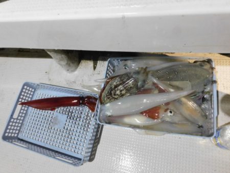 ジギング船 BLUEWATER 釣果