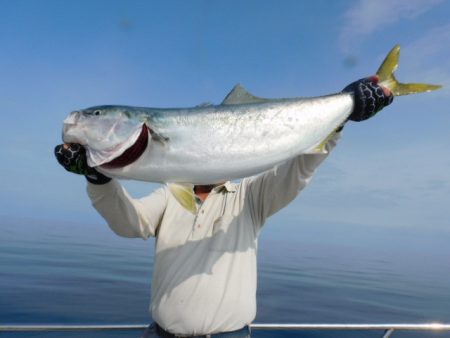 ジギング船 BLUEWATER 釣果