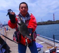 鹿島港魚釣園 釣果