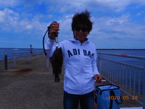 鹿島港魚釣園 釣果