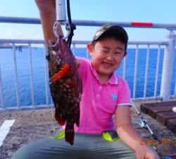 鹿島港魚釣園 釣果