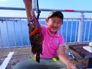 鹿島港魚釣園 釣果