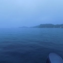 フィッシングボート空風(そらかぜ) 釣果