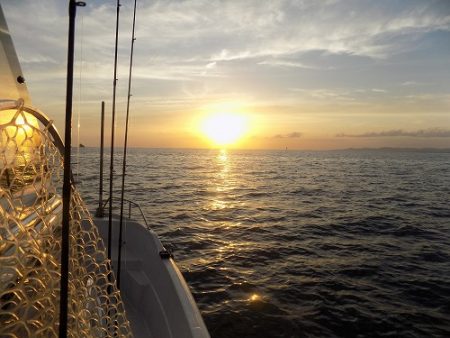 フィッシングボート空風（そらかぜ） 釣果