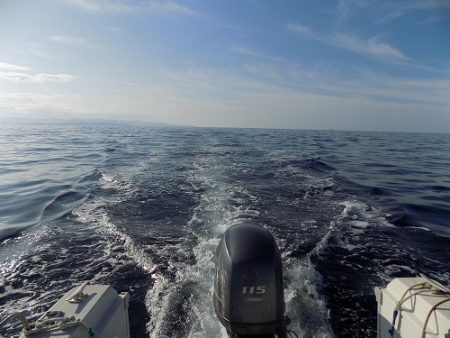 フィッシングボート空風(そらかぜ) 釣果