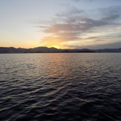 フィッシングボート空風(そらかぜ) 釣果