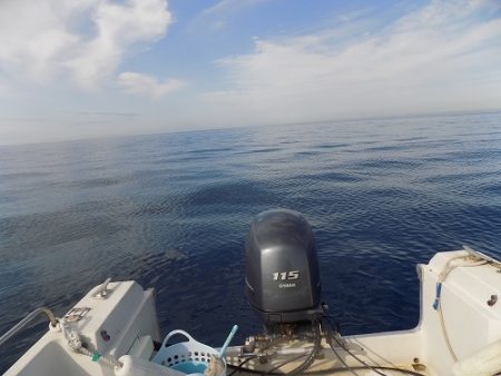 フィッシングボート空風(そらかぜ) 釣果