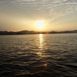 フィッシングボート空風(そらかぜ) 釣果