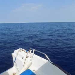 フィッシングボート空風(そらかぜ) 釣果