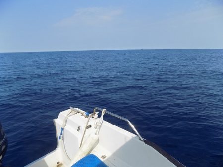 フィッシングボート空風(そらかぜ) 釣果