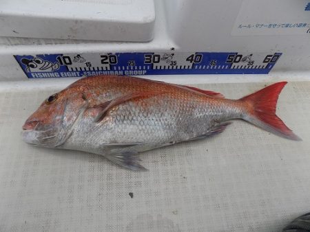 フィッシングボート空風(そらかぜ) 釣果