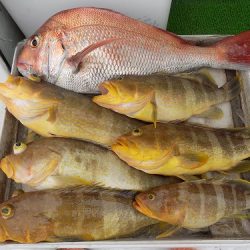 フィッシングボート空風(そらかぜ) 釣果