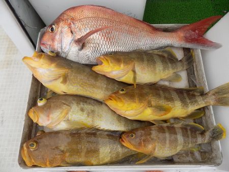 フィッシングボート空風(そらかぜ) 釣果