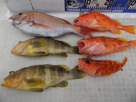 フィッシングボート空風(そらかぜ) 釣果