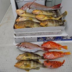 フィッシングボート空風(そらかぜ) 釣果