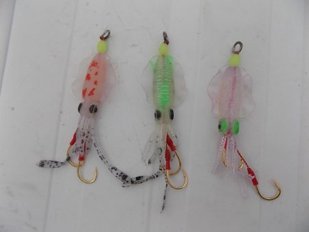 フィッシングボート空風(そらかぜ) 釣果