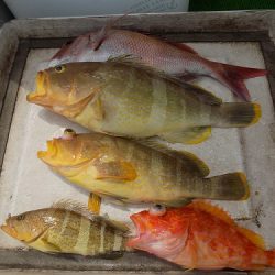 フィッシングボート空風(そらかぜ) 釣果