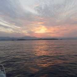 フィッシングボート空風(そらかぜ) 釣果