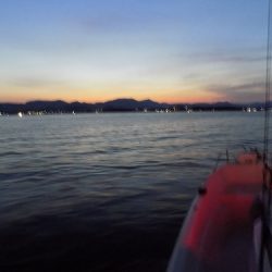 フィッシングボート空風（そらかぜ） 釣果