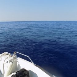 フィッシングボート空風（そらかぜ） 釣果