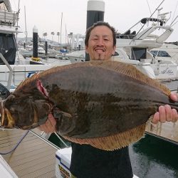 フィッシングボートACE(エース) 釣果