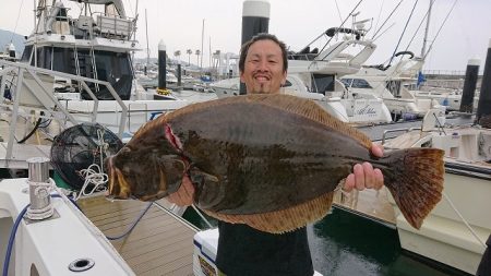 フィッシングボートACE(エース) 釣果