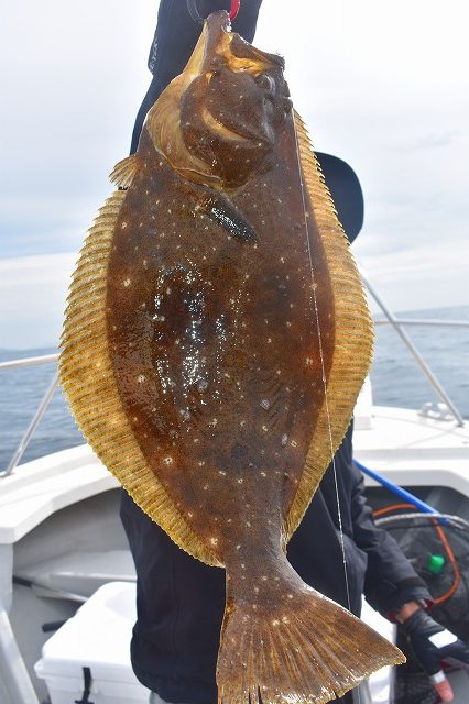 Fisherman Dreams DI 釣…