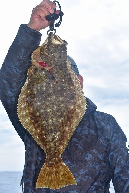 Fisherman Dreams DI 釣果