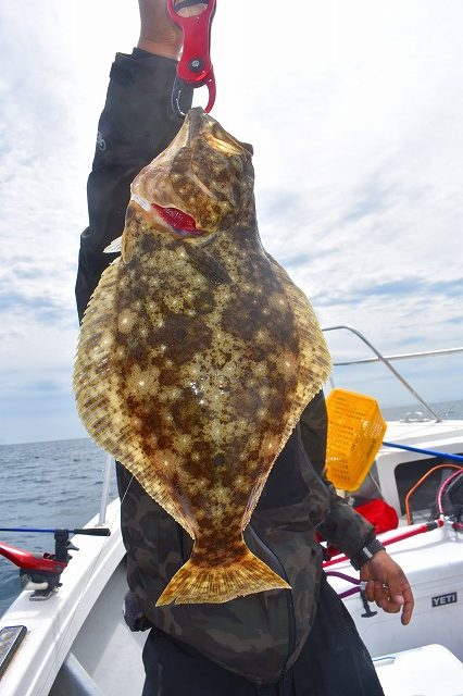 Fisherman Dreams DI 釣果