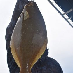 Fisherman Dreams DI 釣果