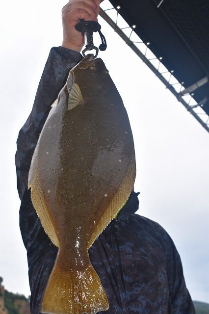 Fisherman Dreams DI 釣果