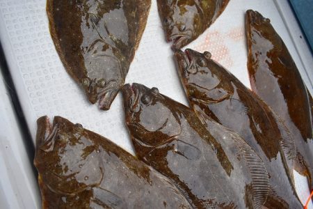 Fisherman Dreams DI 釣果