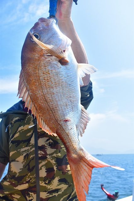 Fisherman Dreams DI 釣果