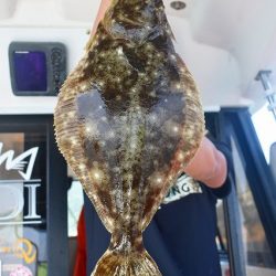 Fisherman Dreams DI 釣果