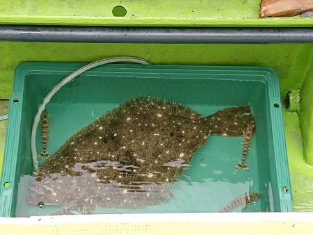 深川 吉野屋 釣果