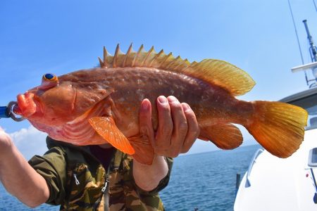 Fisherman Dreams DI 釣果