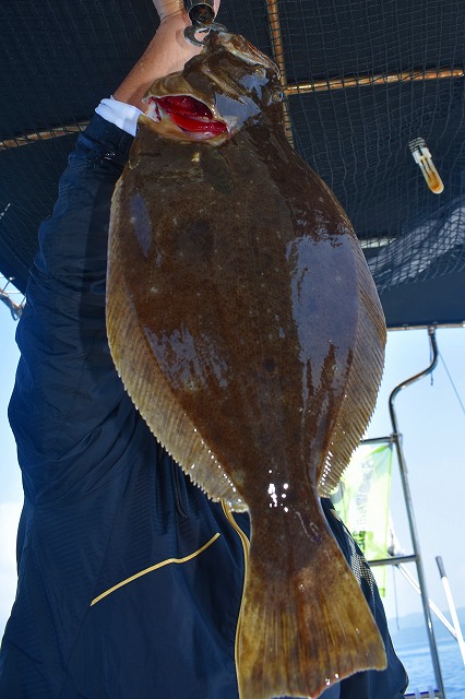 Fisherman Dreams DI 釣果