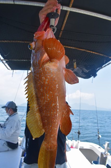 Fisherman Dreams DI 釣果