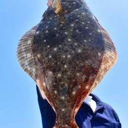 Fisherman Dreams DI 釣果