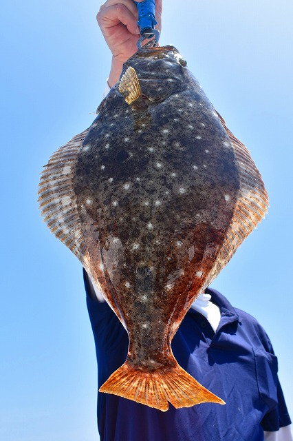 Fisherman Dreams DI 釣果